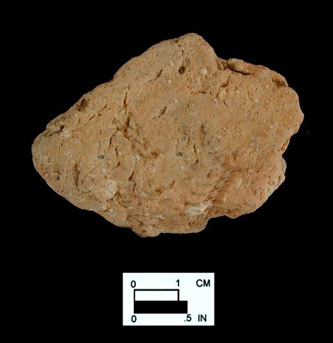 Dames Quarter interior surface of body sherd from Nassawango, site 18WO23/6K.